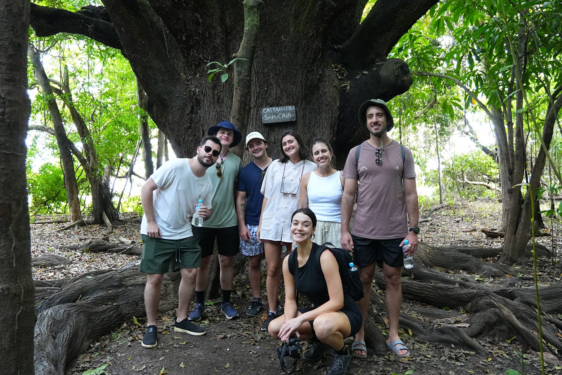 Grupo de visitantes reunido diante de uma árvore gigante na floresta